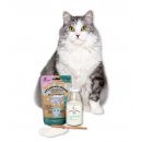 CATLABS Katzen Snack Vitamin Milchshake Starter Set