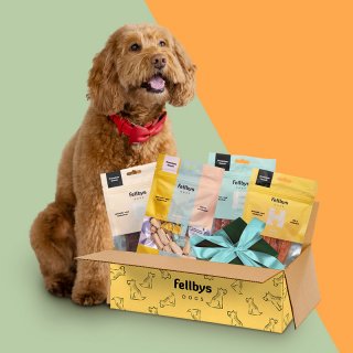 Fellbys Entdeckerbox für Hunde I