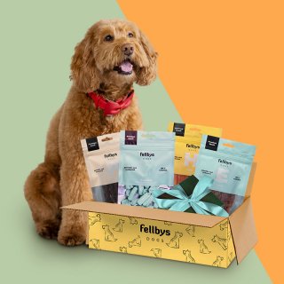Fellbys Entdeckerbox für Hunde II