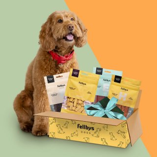 Fellbys Entdeckerbox für Hunde III