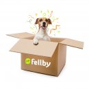 Fellbys Überraschungsbox für Hunde