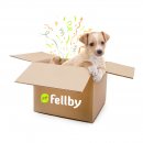 Fellbys Überraschungsbox für Welpen