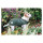 Kentucky Dogwear Hundemantel Waterproof 300g Grün XXL 76