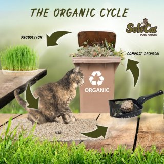 Porta Cat Care Katzenstreu SoftCat Grass - jetzt online kaufen! - fel