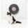 FuzzYARD Katzenspielzeug Record Cat Scratcher