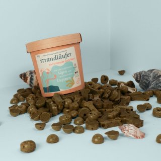 Schnauze voll Hundekeks Strandläufer