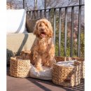 PET &amp; CO. Hundebett Bongo Nature (75*50*18 cm)