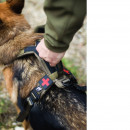 Non-stop dogwear Hundegeschirr Line Harness Grip WD Oliv 6