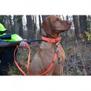 Farm-Land Hunde Schwei&szlig;halsung