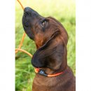 Farm-Land Beileine lautlos, Orange