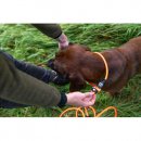 Farm-Land Beileine lautlos, Orange
