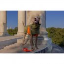 Theo &amp; Emma Winterhundemantel Oskar Mantel Oliv Brustband Oliv Mantel Gr&ouml;&szlig;e 3 Brustband Gr&ouml;&szlig;e 8