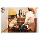 Maul Ledermanufaktur Hundehalsband Rundgenäht Octane