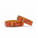 Maul Ledermanufaktur Hundehalsband Spring Break Orange/Silber 45cm/35mm