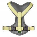 Hunter Hunde Geschirr Neopren