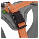 Hunter Hunde Geschirr Neopren