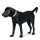 Hunter Hunde Halsband Malia Beige/Natur S-M 50
