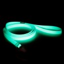 Paikka Hundeleine Glow Aqua 2,5 x 180 cm