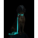 Paikka Hundeleine Glow Aqua 2,5 x 180 cm