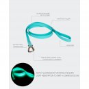 Paikka Hundeleine Glow Aqua 2,5 x 180 cm