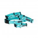 Paikka Hundehalsband Glow