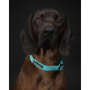 Paikka Hundehalsband Glow Aqua 2,5 x 35-48 cm