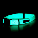 Paikka Hundehalsband Glow Aqua 2,5 x 35-48 cm