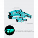 Paikka Hundehalsband Glow Aqua 2,5 x 35-48 cm