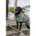 Paikka Hundewinterjacke Visibility Leo Grün 25