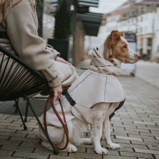 orthopdische matratze hund Hochwertiges orthopdisches Cord Hundebett gegen Gelenkschmerzen von  William Walker