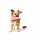 Hunter Hundespielzeug Belem Donut