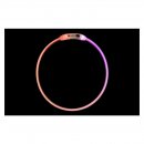 Flamingo Hunde Halsband LED Raina mehrfarbig