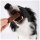 Irish Pure Hundesnack Salmon Strips mit Kelp-Alge