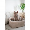 Stylecats by Hunter Katzenbett Dreamie