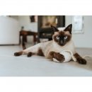 Stylecats by Hunter Katzenspielzeug Kwalle Karl mit Schnur