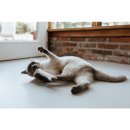 Stylecats by Hunter Katzenspielzeug Toller Hecht mit Schnur