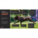 Non-stop dogwear Hundegeschirr Rush Harness Teal 3