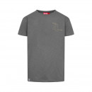 Derbe Herren T-Shirt Tea Lava smoke M