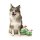 FuzzYARD Hundespielzeug Peewee Green