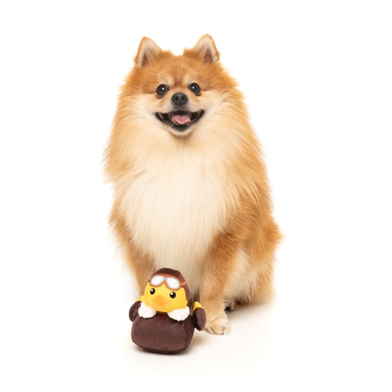 FuzzYARD Hundespielzeug Ducks Amelia Quackhart S