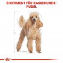 ROYAL CANIN MINI Adult Nassfutter f&uuml;r Pudel 12x85 g