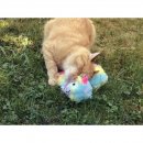 Aum&uuml;ller Katzenspielzeug Alpaka Angie