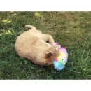 Aum&uuml;ller Katzenspielzeug Alpaka Angie