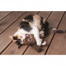 Aumüller Katzenspielzeug Eule Molly