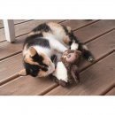 Aum&uuml;ller Katzenspielzeug Eule Molly