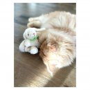 Aum&uuml;ller Katzenspielzeug Hoppelhase Harry