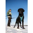 Non-stop dogwear Hundegeschirr Ramble harness long XS