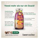 SmoothieDog Hundesmoothie Obstkorb