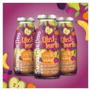 SmoothieDog Hundesmoothie Obstkorb