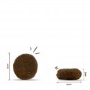Bosch Heimat Hunde Trockenfutter Adult mit frischer Tierwohl-Pute 1x2,4kg